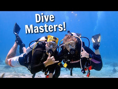 We Completed our PADI Divemaster Internship | Cozumel, Mexico | #PadiPro
