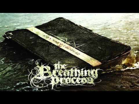The Breathing Process - The Living Forest (Part 1) {HD}