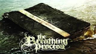 The Breathing Process - The Living Forest (Part 1) {HD}