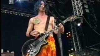 NOFX - Just The Flu (Live @ Rock Im Park 2000)