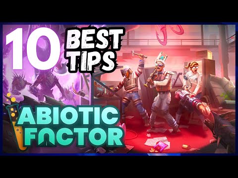 ABIOTIC FACTOR 10 Best Beginner Tips