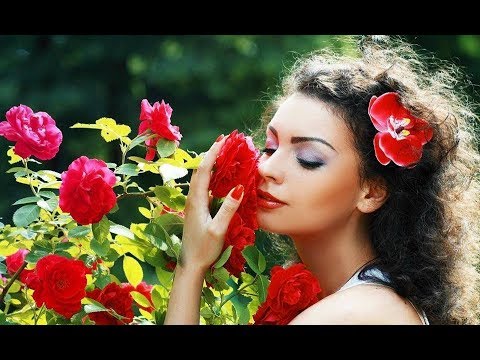 Quelques Notes Pour Anna - Nicolas de Angelis