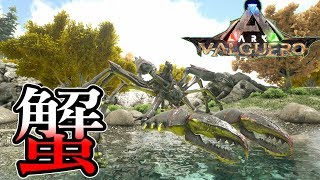 Ark 21 深海に潜む巨大イカ トゥソテウティスのイベントカラーをテイム Valguero Ark Survival Evolved実況 Ps4版 تنزيل الموسيقى Mp3 مجانا