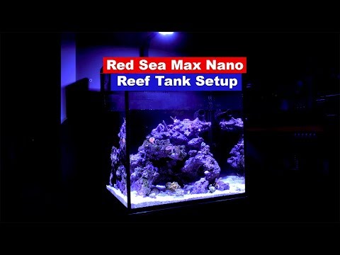 How To Setup a Saltwater Reef Rank - Red Sea Max Nano Setup
