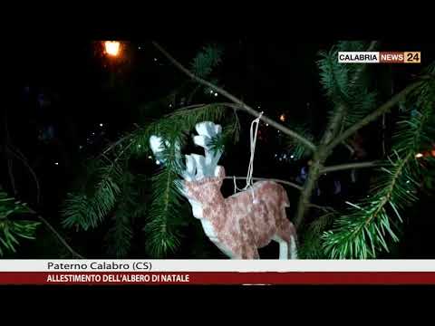 A PATERNO CALABRO E' STATO ALLESTITO L'ALBERO DI NATALE