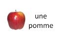 les fruits et légumes en français