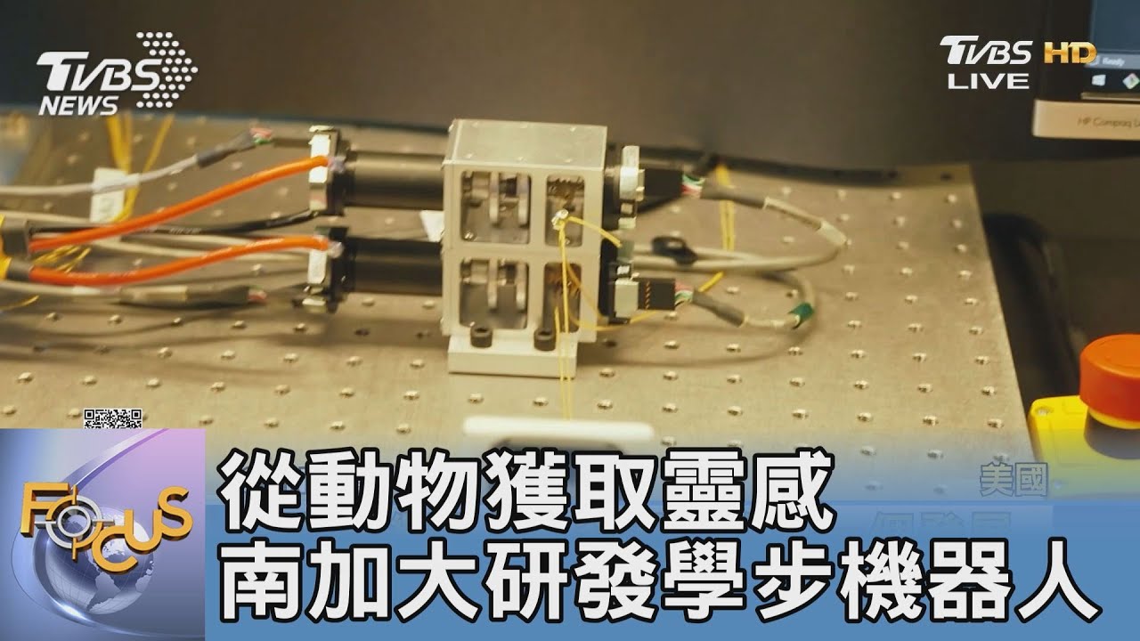 從動物獲取靈感 南加大研發學步機器人
