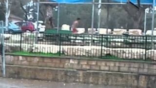 Running in the rain with underwear