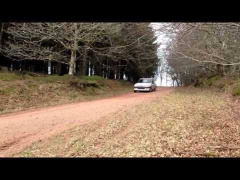 Peugeot 205 rally car Somerset stages 2013