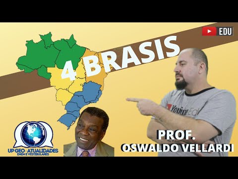 The 4 Brazils | Regionalization of Brazil | Milton Santos | EF07GE10
