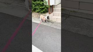フレブルの才能に気付けなかった😭