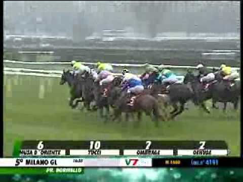 20/10/2013, Milano , Premio Dormello C.naz.