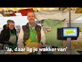 Verliest Vleuten de kaasboer op vrijdag? | RTV Utrecht