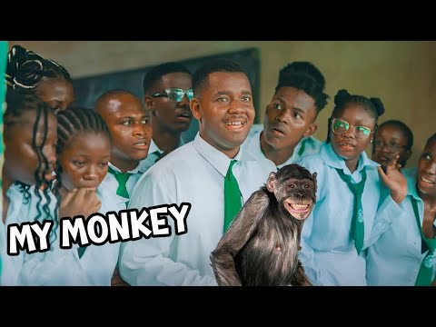 My Monkey | High School Worst Class | Emanuella | Aunty Success