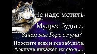 Интересные высказывания о жизни для статуса короткие