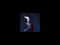 Francis Forever Mitski Slowed Reverbed