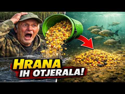 Djed je bio u krivu: Zašto vam prihrana dan prije TJERA ribu?