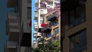 ЖК Тhe Tenth House-secondVideo