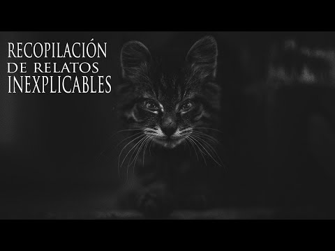 EL GATO QUE DIJO QUE MORIRÉ ESTA NOCHE