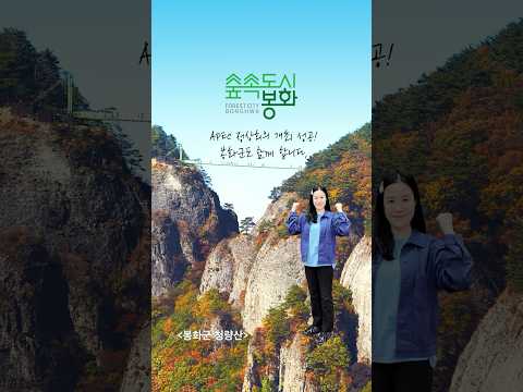 2025 #APEC 정상회의 개최⭐ 봉화군이 함께 응원합니다!