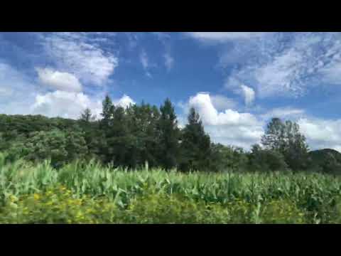Cenário da cidade de Biei, Hokkaido (janela do carro) Gravado em 19 de agosto de 2023