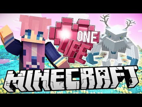 Magic Wands & Pets! | Ep. 6 | Minecraft One Life 2.0