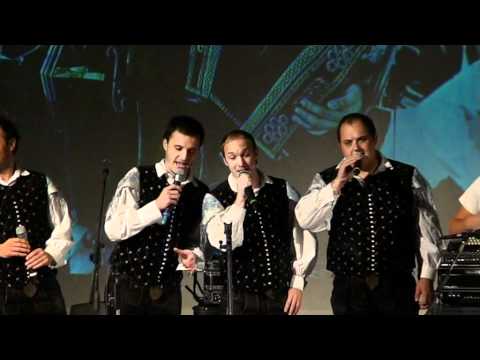 Modrijani & Ansambel Petka-Vrtnar (v živo)