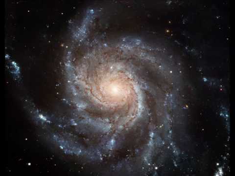 hashoo - happy spacey honkeey orchestra