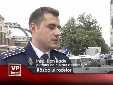 Războiul rozelor
