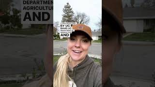 My Secret to Understanding My Garden Soil! #shorts