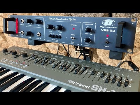 Fully serviced Dynacord VRS23 vertical reverberation system // analog BBD delay / reverb VRS-23 image 12