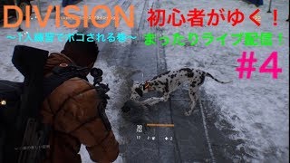 #4 ディビジョン まったり初心者配信
