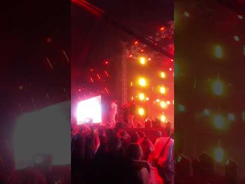 Kronkel Dom - Narco Trafficante Live | LPLHHF 2023 |