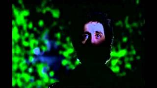 Roach Motel - Wild Luv (Official Music Video)