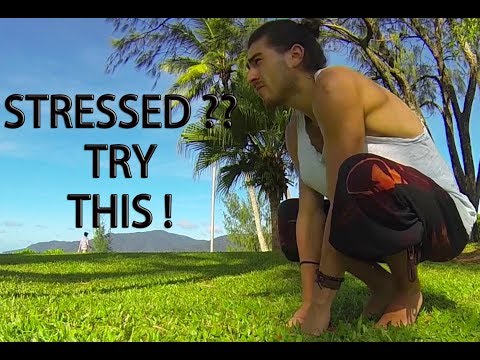 How To Climb Trees and Travel While Young (Introduction)