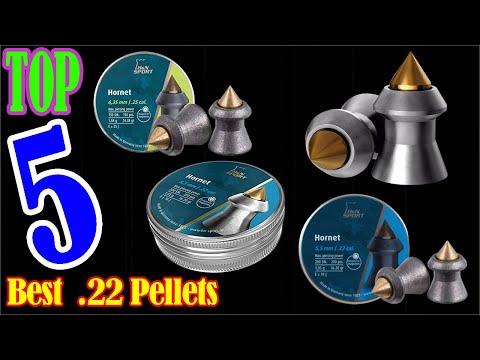 .22 pellets: Best .22 Pellets For Hunting You Can Buy In 2022