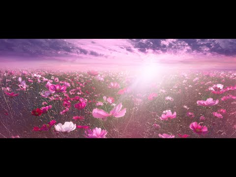 simrita Halfsaree Function