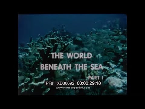 DISCOVERY '66 TV SHOW  "THE WORLD BENEATH THE SEA"  PART 1   UNDERSEA ANIMAL & PLANT LIFE  XD30692