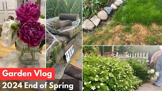 GARDEN VLOG : Peonies Update  | Lawn Repair | Planting verbena flowers……..