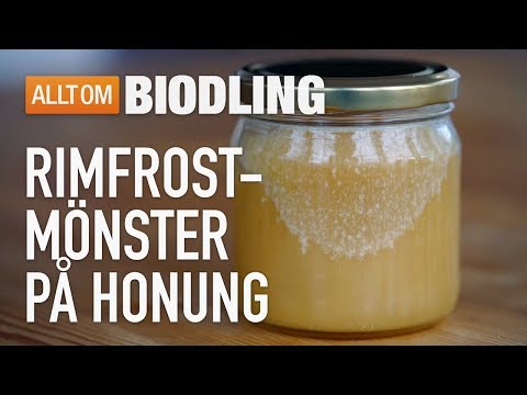 Rimfrostmönster på honung