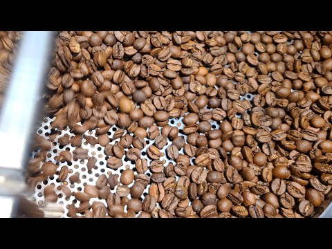 Brazilian Specialty Blends | 5 lbs. Roast | Light & Medium