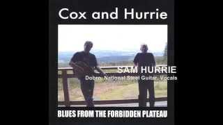 COX AND HURRIE - BLUES FROM THE FORBIDDEN PLATEAU (FULL ALBUM)