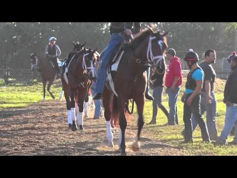 Kentucky Derby 141: Ep. 6 - Top Ranked Horses 60 Days from Derby