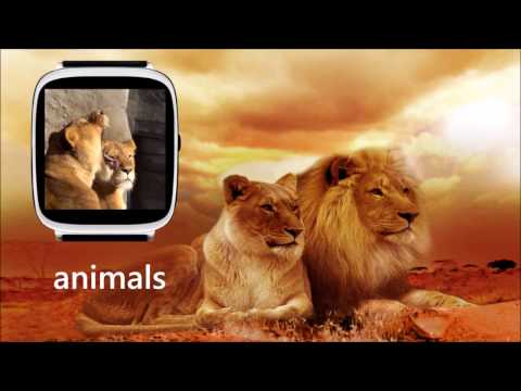 1000+ Animated Watch Faces Video