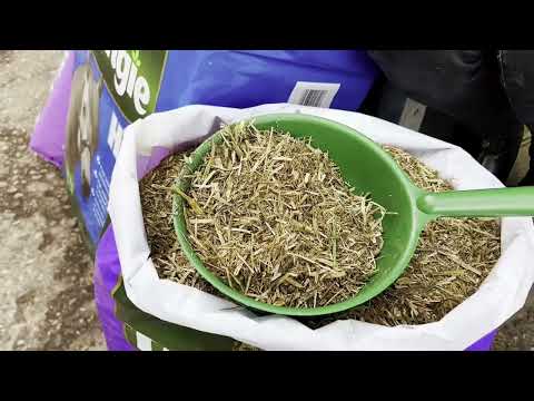 Dealing with Laminitis - feeding a Laminitic horse or pony @DengieHorseFeeds
