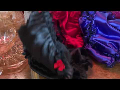 Anias Poison Satin Ruffled panties for MEN