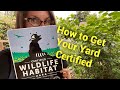 How Your Yard Can Be A Certified Wildlife Habitat Why It S Important To Do So