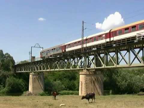 Bulgarian Graffiti on Trains 1