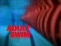 Adult Swim Original Intro W Disclaimer