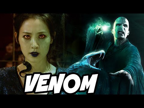 The Story of Nagini (+ How She Met Voldemort) - Harry Potter Explained